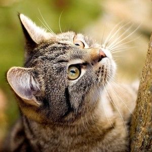 Meet your Posher, Sigrid